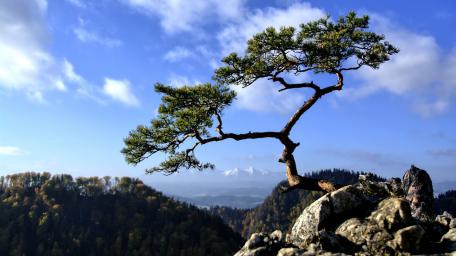 Wycieczka w Pieniny